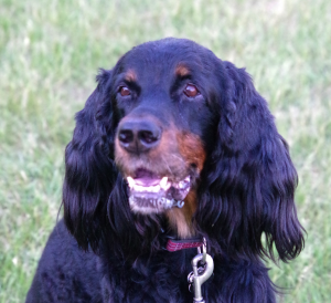 hannah head shot crop